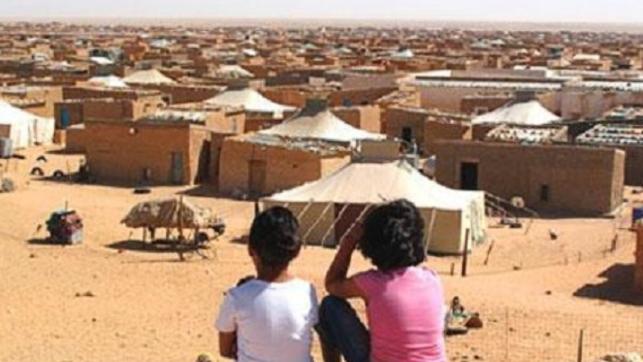 هيئة أممية تقر مسؤولية الدولة الجزائرية عن انتهاكات حقوق الإنسان في مخيمات تندوف