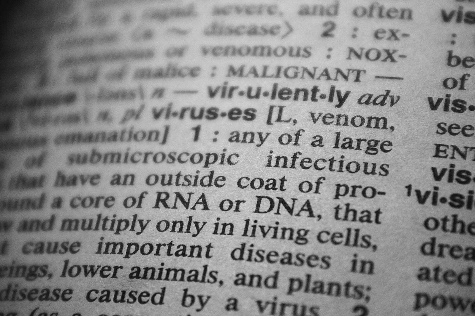 30 000 nouveaux virus découverts dans l&rsquo;ADN des microbes