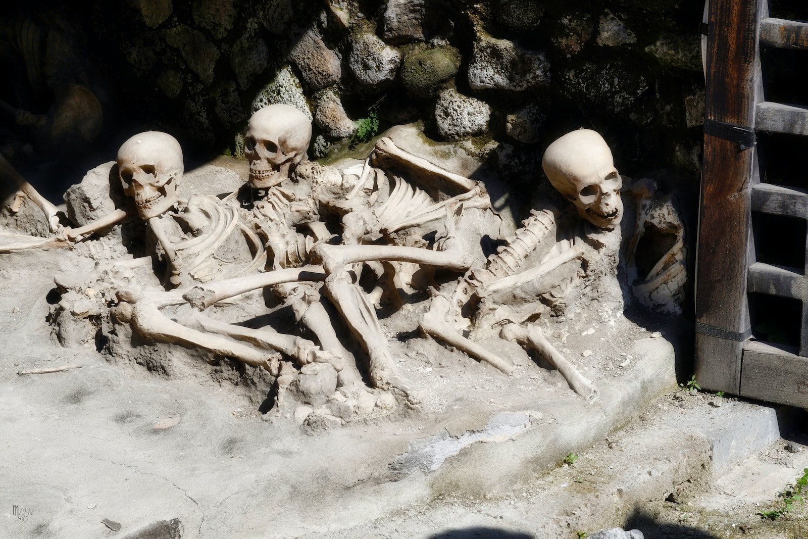 Terrorisme religieux, la secte kenyane et l&rsquo;Occident – ​​europeantimes.news