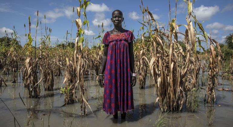 La faim touche une personne sur dix dans le monde, selon un rapport de l&rsquo;ONU