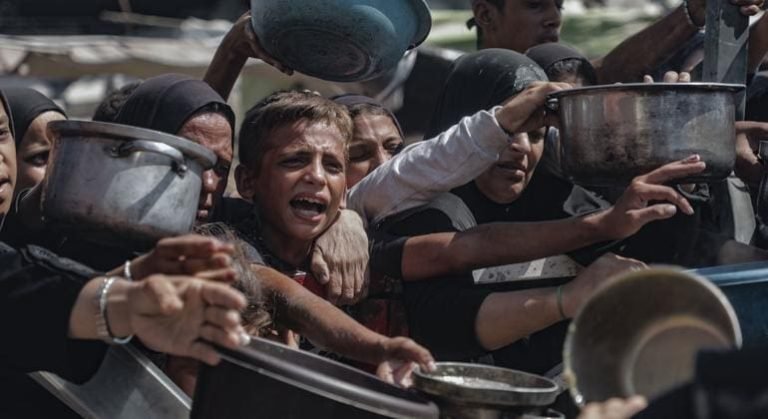 Les décès quotidiens de malnutrition se poursuivent alors que les forces israéliennes poussent plus loin dans la ville de Gaza