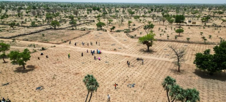Au Sahel africain, les conflits et le changement climatique forcent des millions de personnes à quitter leur foyer