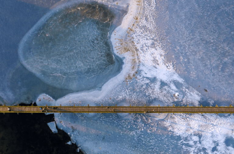 Le public et le jury ont choisi les images gagnantes du concours photo «Environment & Me 2025»