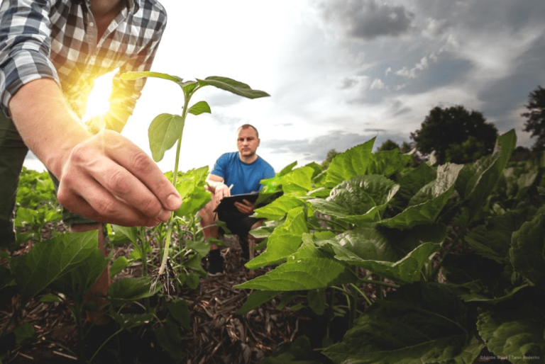 Accord pour simplifier les règles agricoles de l&rsquo;UE | Nouvelles