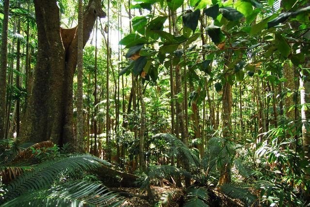 Accord sur la révision ciblée de la loi européenne sur la déforestation