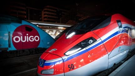 Un train OUIGO et le premier Frecciarossa, un train à grande vitesse de l'opérateur ferroviaire national italien, Trenitalia, sur la ligne Milan-Turin-Lyon-Paris. Photo d'illustration (GEOFFROY VAN DER HASSELT / AFP)