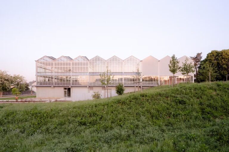 A Besançon, Philippe Rizzotti installe le jardin botanique dans un écrin vert, le Biome