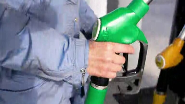 Aides sur les carburants : une aide d'en moyenne "20 centimes par litre" pour les "grands rouleurs"