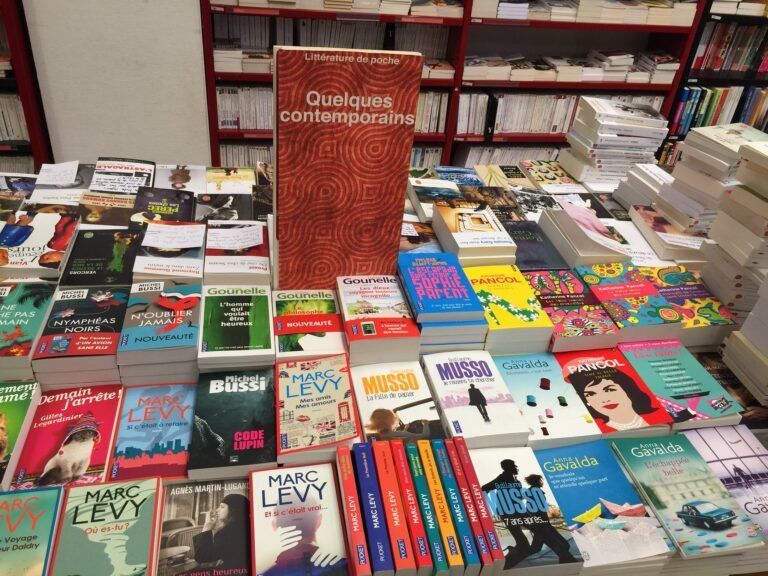 Après la Fête, le quotidien des librairies reprend ses droits