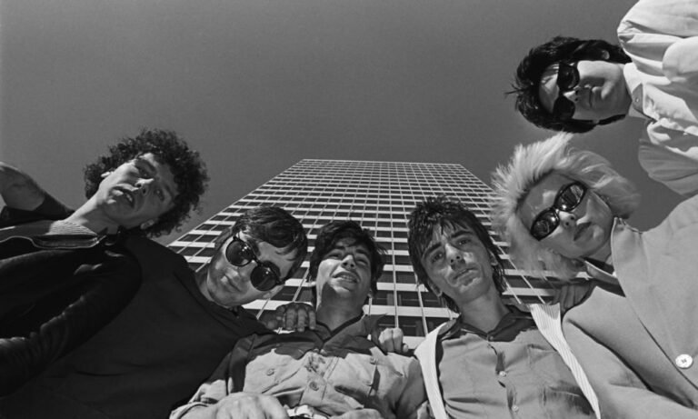 Blondie : cross-pollinisation