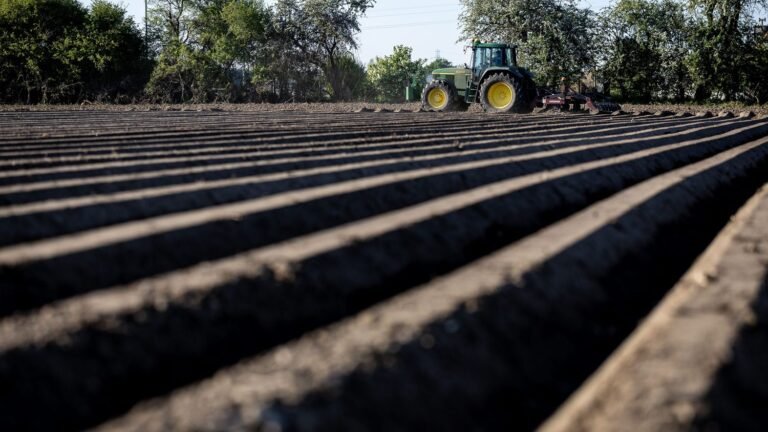 Crise agricole : 43% des agriculteurs français ne dégagent pas un smic de leur activité, révèle une étude de l'Observatoire de la rémunération agricole équitable de Max Havelaar France