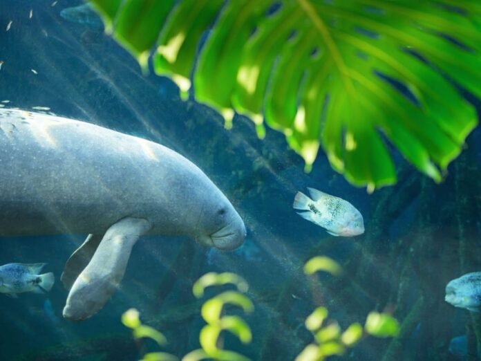 EXPO. Voyage en milieux humides au Parc zoologique de Paris
