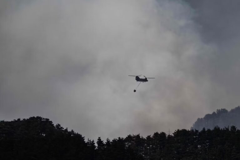 Japon : des centaines de pompiers luttent contre des feux de forêts dans le nord ; plus de 3 200 personnes évacuées