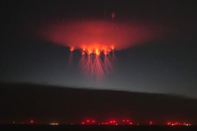 « La Foudre, un éclair de génie », sur France 5 : sur la piste des orages, source de vie et de catastrophes
