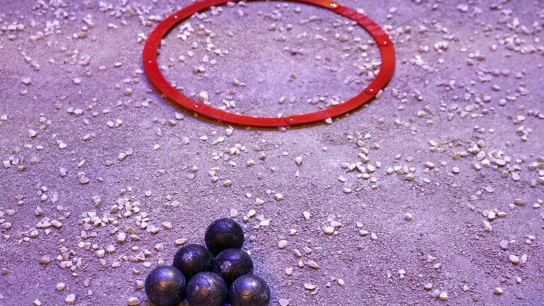 La pétanque fait le plein de licenciés et de reconnaissance, mais manque de sponsors