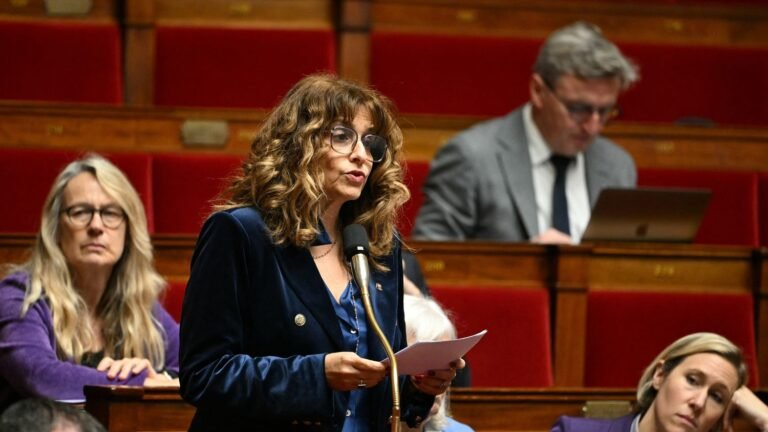 Les députés macronistes retirent la proposition de loi Yadan portant sur l'antisémitisme, le gouvernement présentera un nouveau texte en juin