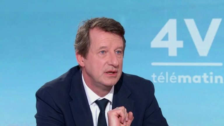 Prix des carburants : "Il ne faut pas simplement aider celles et ceux qui peuvent bloquer le pays, il faut aider celles et ceux qui le font vivre aussi", souligne Yannick Jadot