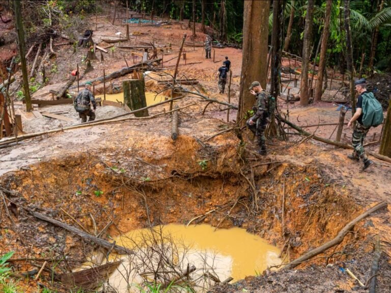 Recours contre l’Etat : "carences fautives" dans la lutte contre l’orpaillage clandestin en Guyane