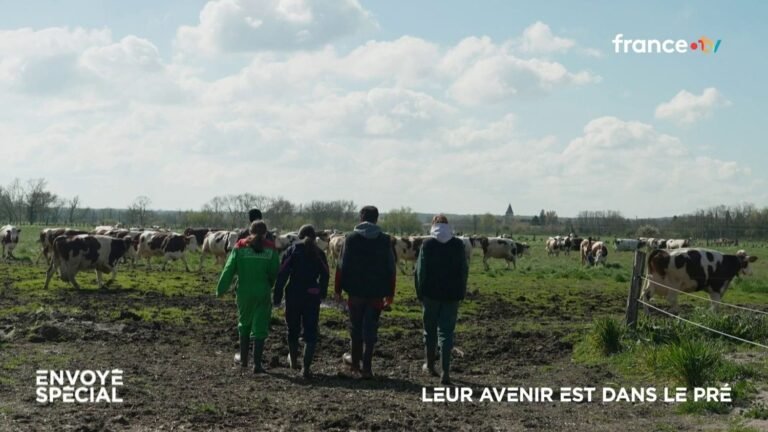 VIDEO. Leur avenir est dans le pré