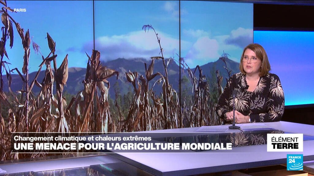 agriculture