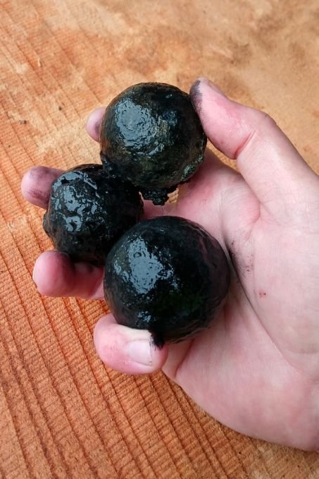 boulets de canon, épave du Dannebroge, bataille de Copenhague