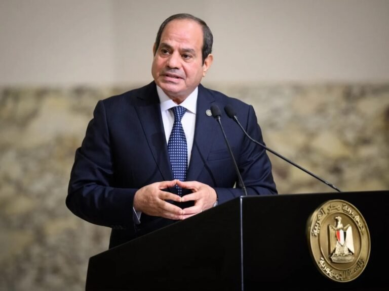 إشادة دولية بمشروع مصري عملاق أنقذ البلاد