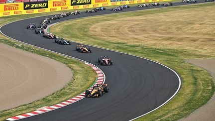 Les monoplaces sur la piste du Grand Prix du Japon, à Suzuka, le 29 mars 2026. (ARTUR WIDAK / AFP)