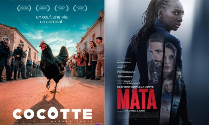 CINÉMA : 2 films à voir cette semaine – 27/05/2026