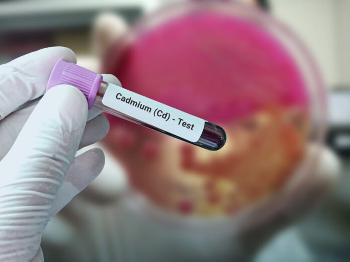 Cadmium : "J'ai perdu ma mère en décembre dernier d’un cancer du pancréas à 58 ans, seulement 3 mois après le diagnostic"