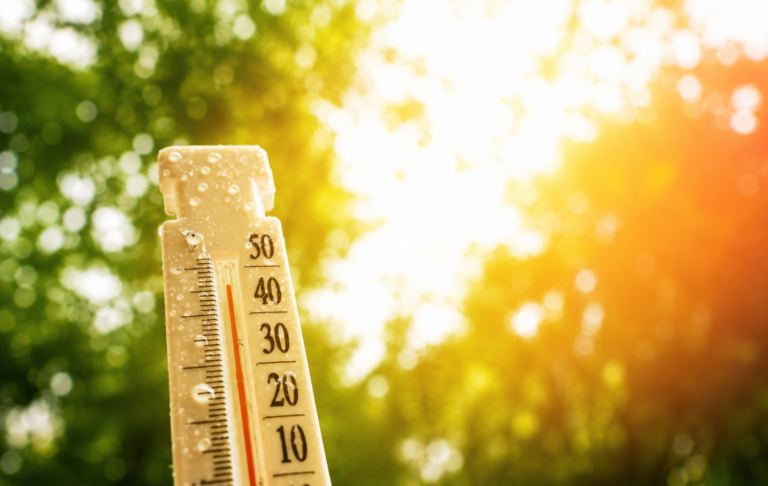 Canicules : quand la France étouffe sous les alertes météo