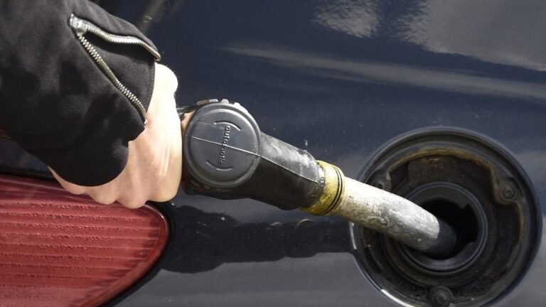 Carburants : le prix du gazole s'est stabilisé ce week-end, celui de l'essence baisse légèrement