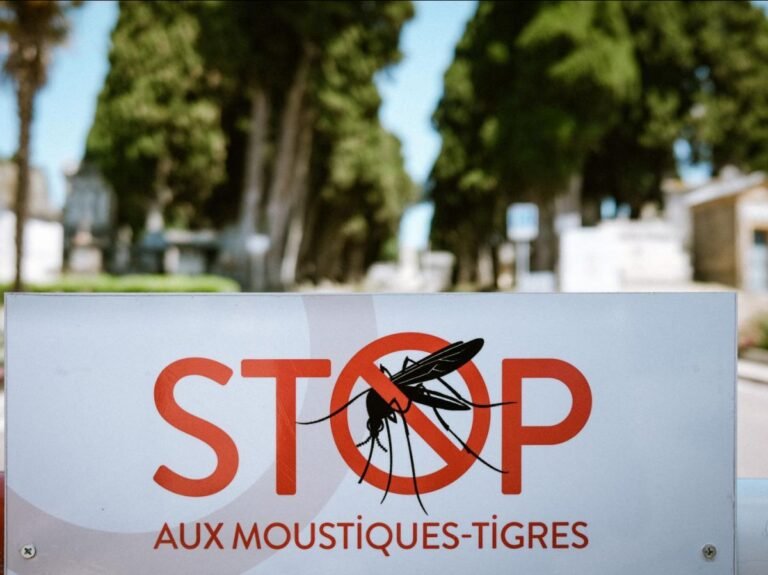 Chikungunya, dengue, Zika : 92 cas importés dans l'Hexagone depuis début mai