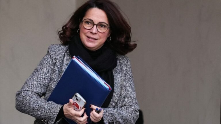 Coach de MMA suspendu pour des violences sur des élèves : "Ces images sont absolument inacceptables", réagit la ministre des Sports