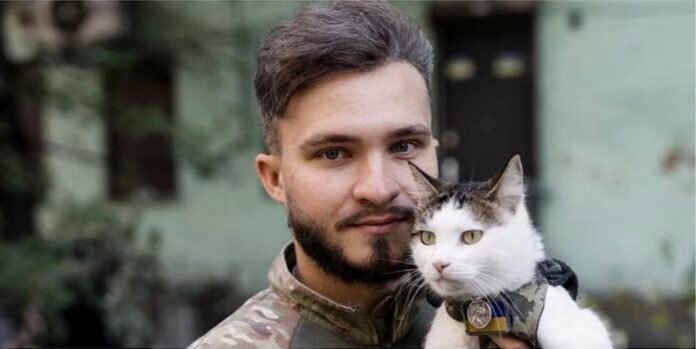 Des chats, des bébés et du kawaii pour célébrer le mignon