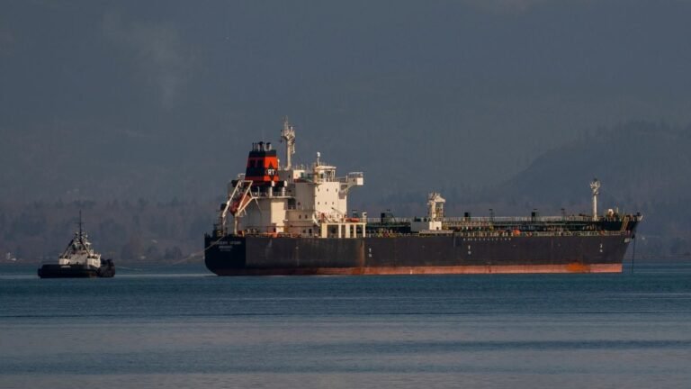 Grâce à sa flotte fantôme, l'Iran continue d'écouler son pétrole, malgré les sanctions américaines