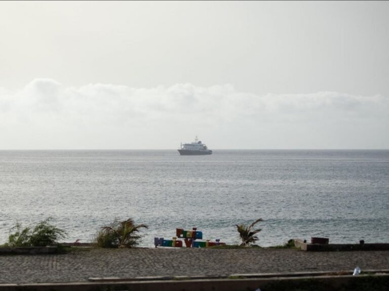 Hantavirus sur un bateau : l'OMS soupçonne une "transmission interhumaine"