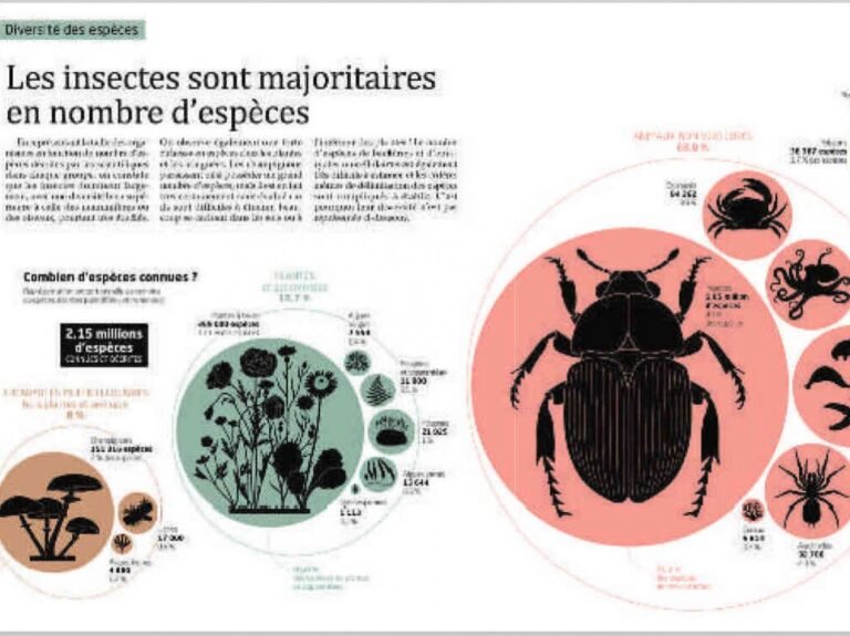 LIVRE. La biodiversité à la loupe