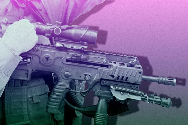 « Le drame du Mali interroge directement les échecs de l’armée française au Sahel »