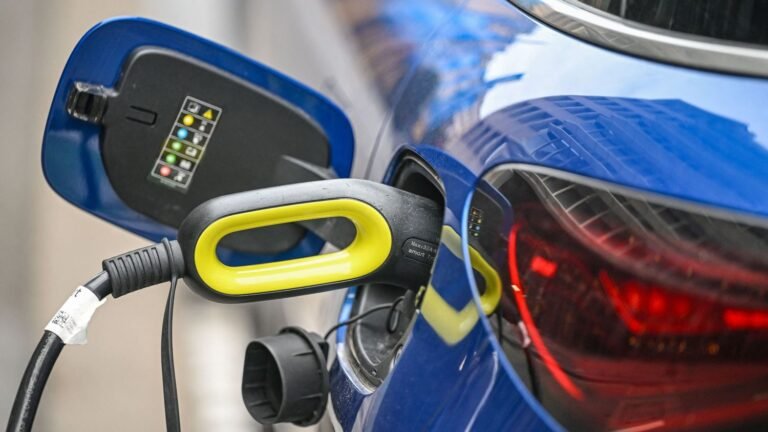 REPORTAGE. "Une hausse de 75% des recherches en mars" : les voitures électriques davantage demandées sur les sites de location entre particuliers