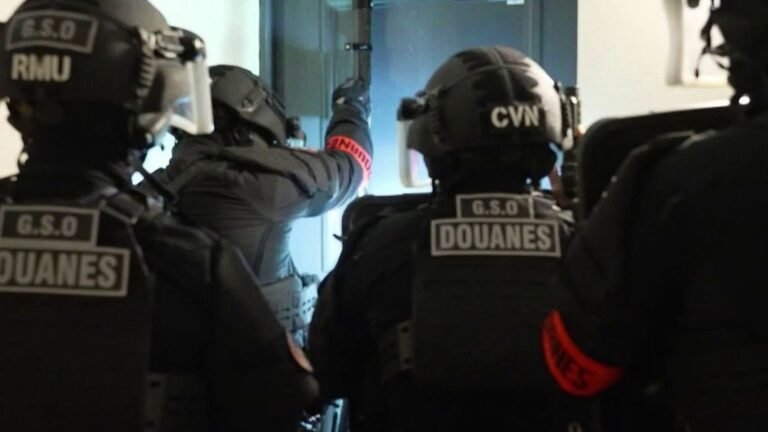 Trafic d'armes en France : au cœur des opérations coup de poing des douaniers enquêteurs