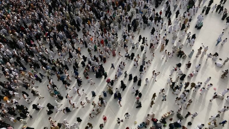 Une population mondiale divisée par deux d'ici à 2064: le scénario catastrophe d'un chercheur italien