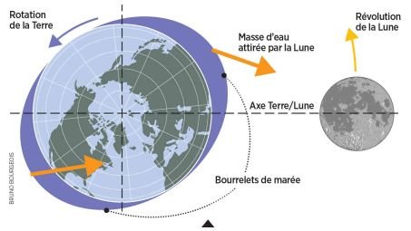 L\'attraction gravitationnelle de la Lune déforme nos océans en créant deux bourrelets décalés par rapport à l\'axe Terre-Lune. Ces renflements engendrent en retour un couple de forces qui ralentit la rotation de la Terre au rythme de deux millisecondes par siècle.
