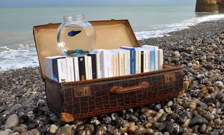 À deux heures de la librairie la plus proche, elle achète 146 livres en une journée