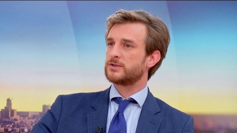 Affaire Lyhanna : "On a un vrai problème avec la pédophilie dans ce pays", juge Andréa Kotarac, porte-parole du Rassemblement national