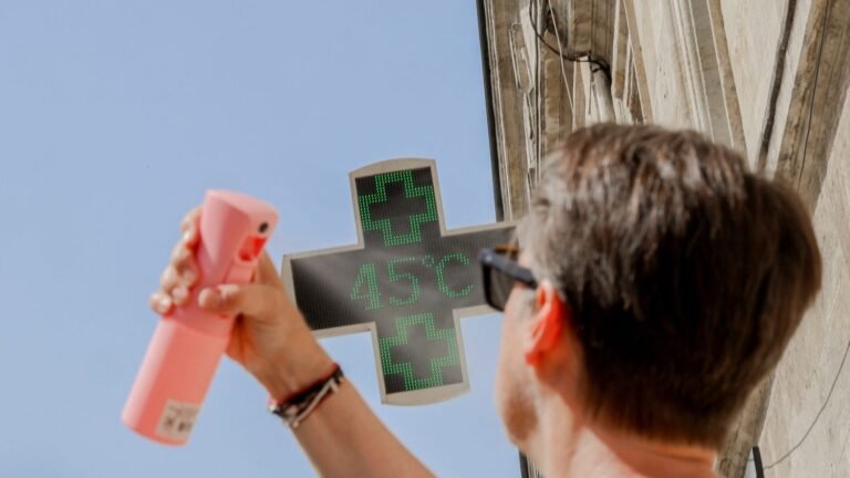Avec la canicule, le concept de "météo-marketing" est plus que jamais d'actualité pour les entreprises