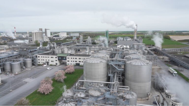 Biocarburants : roulez à la betterave !