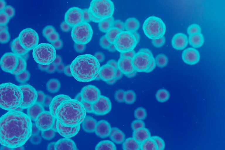 Cancer de la prostate : un nouveau traitement diminue de 65 % le risque de progression et de décès