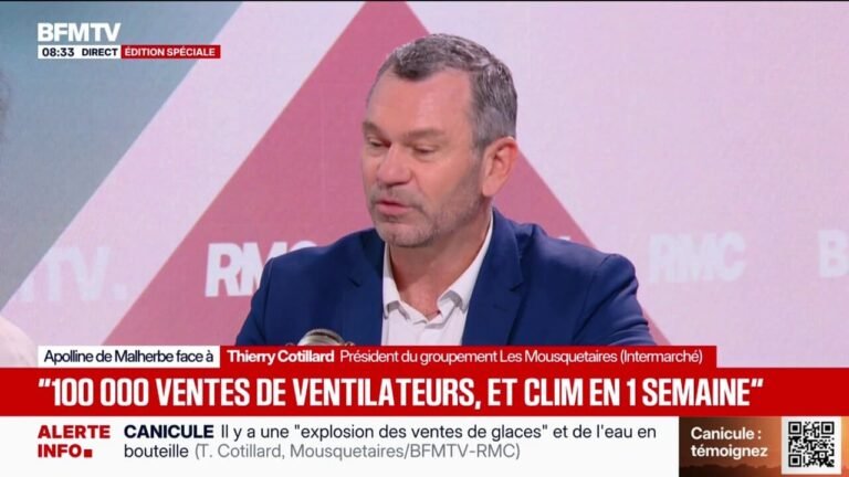 Canicule: Thierry Cotillard, président du groupement Les Mousquetaires n'est "pas favorable" à un congé climatique