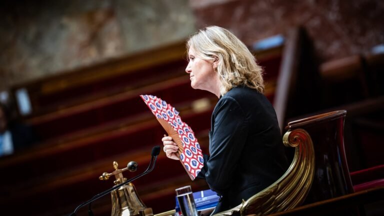 Canicule: la trahison de l'État français envers ses citoyens
