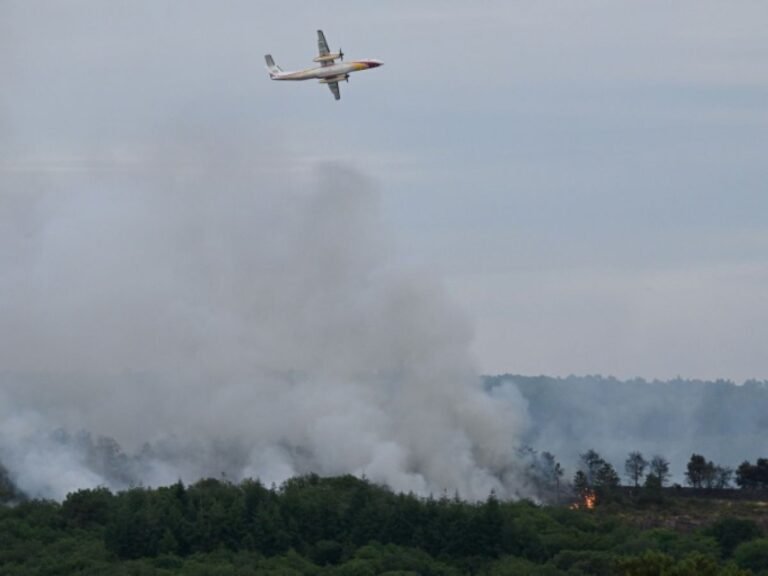 Canicule : les feux de forêt gagnent de nouveaux territoires